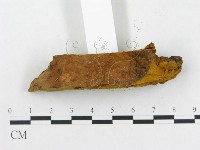 登錄號:F0006288藏品圖，第6張