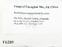 登錄號:F0006289藏品圖，第2張