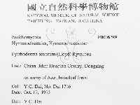 登錄號:F0006289藏品圖，第3張