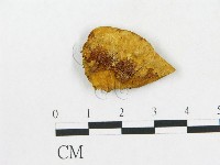 登錄號:F0006289藏品圖，第1張