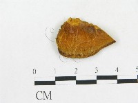 登錄號:F0006289藏品圖，第4張