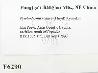 登錄號:F0006290藏品圖，第2張