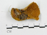 登錄號:F0006290藏品圖，第1張