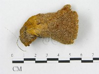 登錄號:F0006290藏品圖，第4張