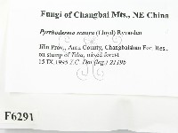 登錄號:F0006291藏品圖，第2張