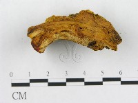 登錄號:F0006291藏品圖，第4張