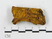 登錄號:F0006291藏品圖，第7張