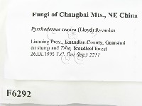 登錄號:F0006292藏品圖，第2張