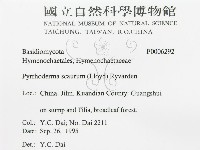 登錄號:F0006292藏品圖，第3張