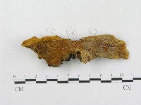 登錄號:F0006292藏品圖，第1張