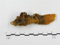 登錄號:F0006292藏品圖，第4張