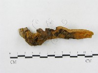 登錄號:F0006292藏品圖，第5張