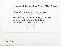 登錄號:F0006293藏品圖，第2張