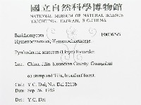 登錄號:F0006293藏品圖，第3張