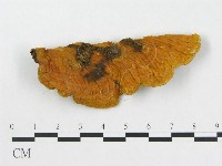 登錄號:F0006293藏品圖，第1張