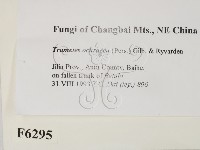 登錄號:F0006295藏品圖，第2張