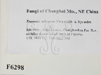 登錄號:F0006298藏品圖，第2張