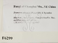 登錄號:F0006299藏品圖，第2張