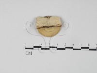 登錄號:F0006299藏品圖，第3張