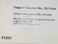 登錄號:F0006303藏品圖，第2張