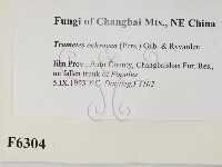 登錄號:F0006304藏品圖，第2張