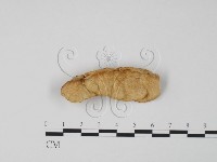 登錄號:F0006304藏品圖，第3張