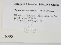 登錄號:F0006305藏品圖，第2張