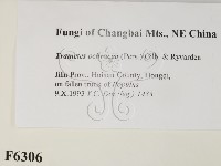 登錄號:F0006306藏品圖，第2張