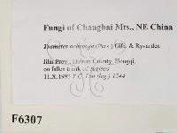 登錄號:F0006307藏品圖，第2張