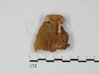 登錄號:F0006307藏品圖，第1張