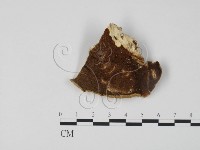 登錄號:F0006307藏品圖，第3張