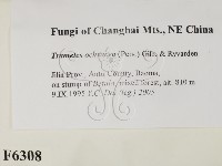 登錄號:F0006308藏品圖，第2張