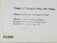 登錄號:F0006309藏品圖，第2張