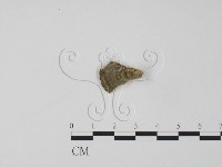 登錄號:F0006309藏品圖，第3張