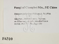 登錄號:F0006310藏品圖，第2張