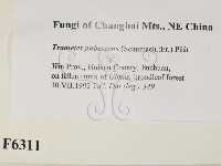 登錄號:F0006311藏品圖，第2張