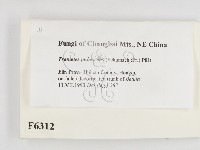 登錄號:F0006312藏品圖，第2張