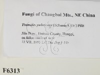 登錄號:F0006313藏品圖，第2張