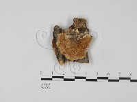 登錄號:F0006313藏品圖，第1張