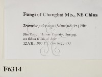 登錄號:F0006314藏品圖，第2張