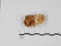 登錄號:F0006314藏品圖，第1張