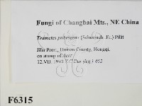 登錄號:F0006315藏品圖，第2張