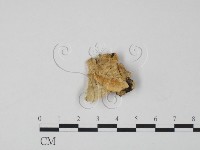 登錄號:F0006315藏品圖，第3張