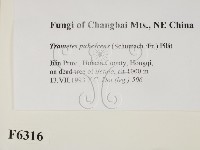 登錄號:F0006316藏品圖，第2張