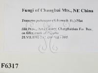 登錄號:F0006317藏品圖，第2張