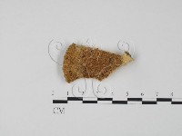 登錄號:F0006318藏品圖，第1張