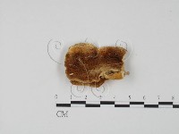 登錄號:F0006320藏品圖，第1張