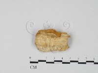 登錄號:F0006320藏品圖，第3張