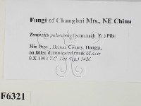 登錄號:F0006321藏品圖，第2張