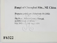 登錄號:F0006322藏品圖，第2張